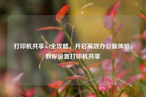 打印机共享4cf全攻略，开启高效办公新体验，教你设置打印机共享