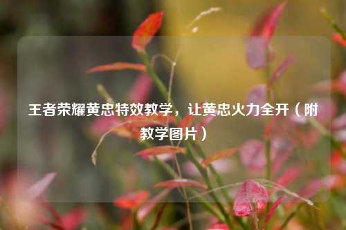 王者荣耀黄忠特效教学,让黄忠火力全开(附教学图片)