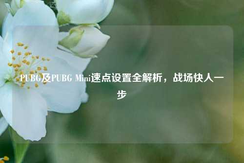 PUBG及PUBG Mini速点设置全解析,战场快人一步