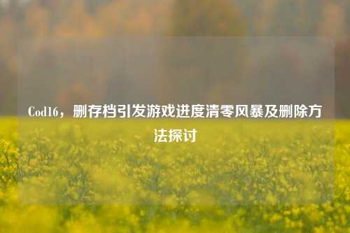 Cod16，删存档引发游戏进度清零风暴及删除方法探讨