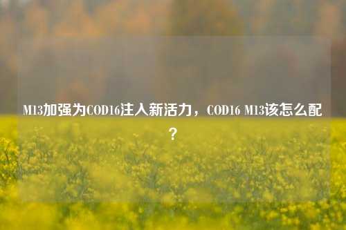 M13加强为COD16注入新活力,COD16 M13该怎么配?
