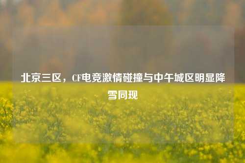 北京三区，CF电竞激情碰撞与中午城区明显降雪同现