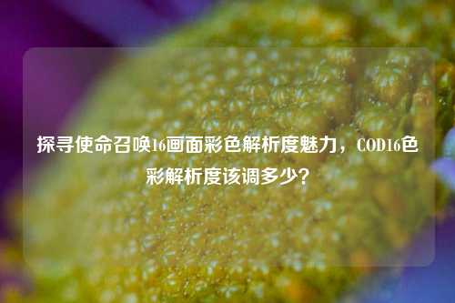 探寻使命召唤16画面彩色解析度魅力,COD16色彩解析度该调多少?