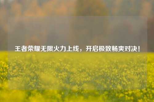 王者荣耀无限火力上线,开启极致畅爽对决!