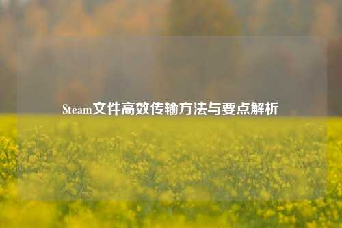 Steam文件高效传输方法与要点解析