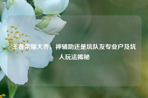 王者荣耀大乔,神辅助还是坑队友专业户及坑人玩法揭秘