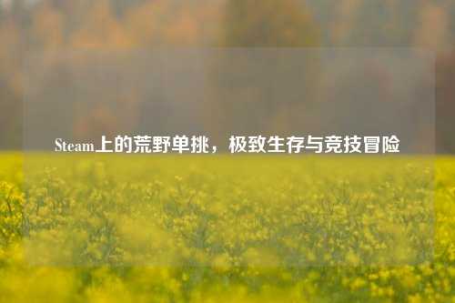 Steam上的荒野单挑,极致生存与竞技冒险