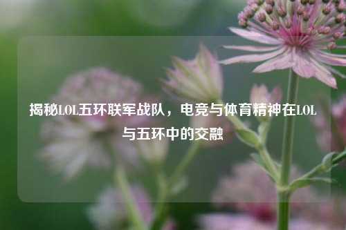 揭秘LOL五环联军战队,电竞与体育精神在LOL与五环中的交融