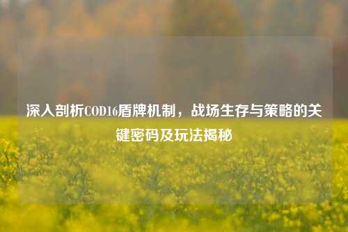 深入剖析COD16盾牌机制,战场生存与策略的关键密码及玩法揭秘