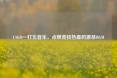 CSGO一打五音乐，点燃竞技热血的激昂BGM