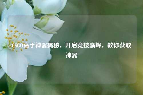CSGO高手神器揭秘,开启竞技巅峰,教你获取神器
