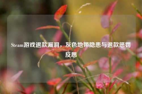 Steam游戏退款漏洞，灰色地带隐患与退款惩罚反思