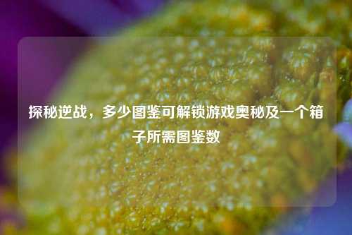 探秘逆战，多少图鉴可解锁游戏奥秘及一个箱子所需图鉴数