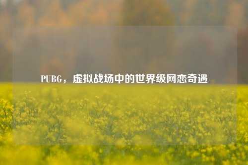 PUBG，虚拟战场中的世界级网恋奇遇
