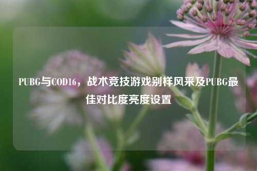 PUBG与COD16，战术竞技游戏别样风采及PUBG最佳对比度亮度设置