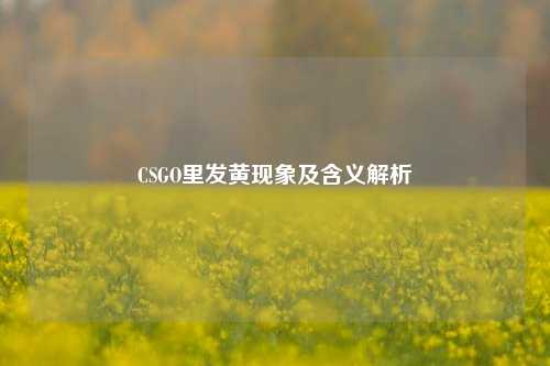 CSGO里发黄现象及含义解析