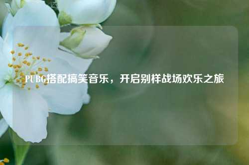 PUBG搭配搞笑音乐，开启别样战场欢乐之旅