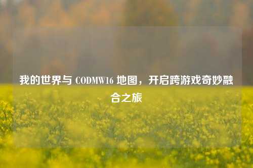 我的世界与 CODMW16 地图，开启跨游戏奇妙融合之旅