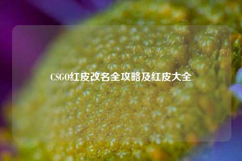 CSGO红皮改名全攻略及红皮大全
