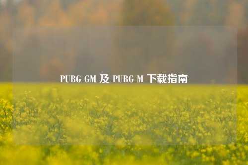 PUBG GM 及 PUBG M 下载指南