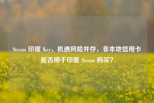 Steam 印度 Key，机遇风险并存，非本地信用卡能否用于印度 Steam 购买？