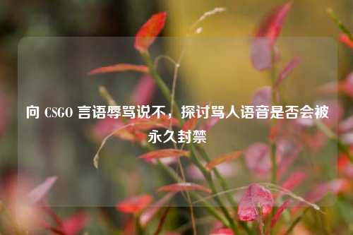 向 CSGO 言语辱骂说不，探讨骂人语音是否会被永久封禁