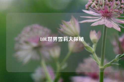 LOL世界雪莉大探秘