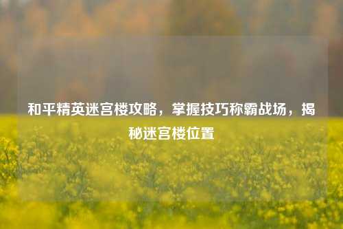 和平精英迷宫楼攻略，掌握技巧称霸战场，揭秘迷宫楼位置