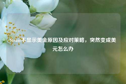 Steam不显示美金原因及应对策略，突然变成美元怎么办