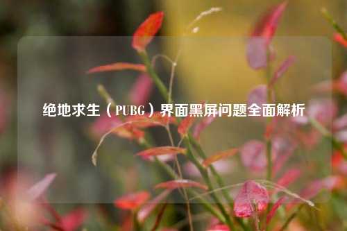 绝地求生（PUBG）界面黑屏问题全面解析