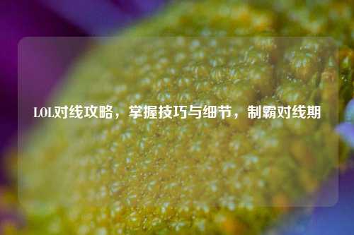 LOL对线攻略，掌握技巧与细节，制霸对线期