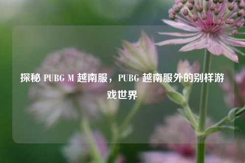 探秘 PUBG M 越南服，PUBG 越南服外的别样游戏世界