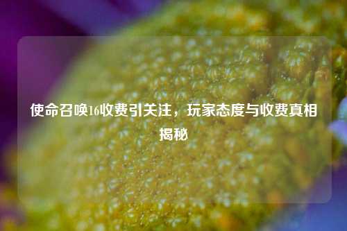 使命召唤16收费引关注，玩家态度与收费真相揭秘