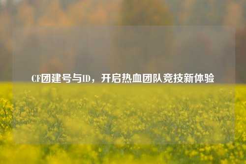 CF团建号与ID,开启热血团队竞技新体验