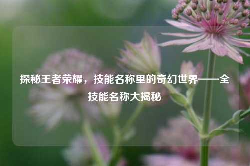 探秘王者荣耀，技能名称里的奇幻世界——全技能名称大揭秘