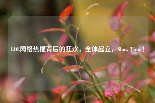 LOL网络热梗背后的狂欢,全体起立,Show Time!