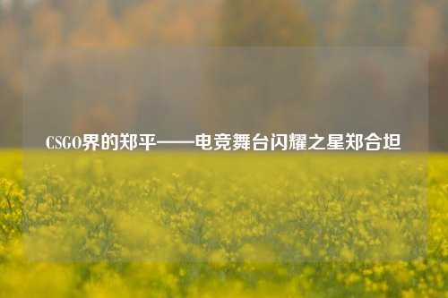 CSGO界的郑平——电竞舞台闪耀之星郑合坦