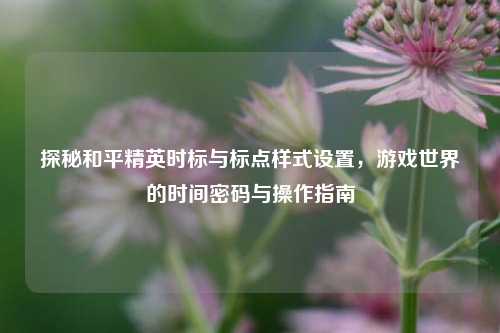 探秘和平精英时标与标点样式设置，游戏世界的时间密码与操作指南