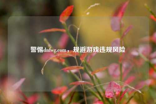 警惕dnfwg.com,规避游戏违规风险