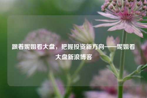 跟着妮姐看大盘,把握投资新方向——妮姐看大盘新浪博客