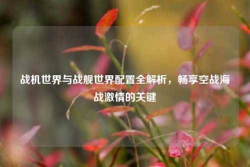 战机世界与战舰世界配置全解析,畅享空战海战激情的关键
