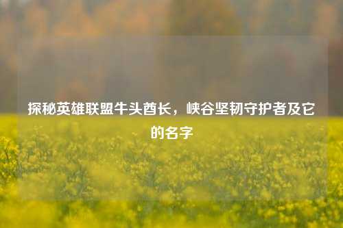 探秘英雄联盟牛头酋长,峡谷坚韧守护者及它的名字