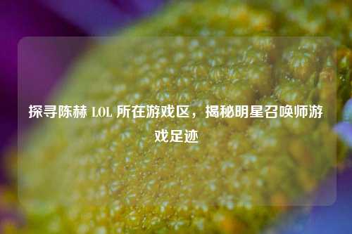 探寻陈赫 LOL 所在游戏区，揭秘明星召唤师游戏足迹