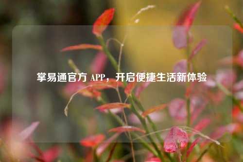 掌易通官方 APP，开启便捷生活新体验