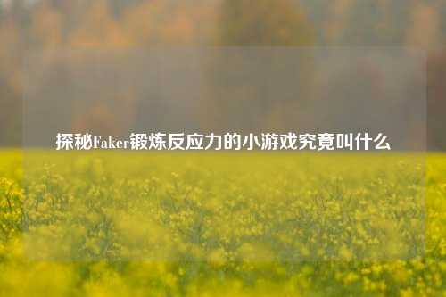 探秘Faker锻炼反应力的小游戏究竟叫什么