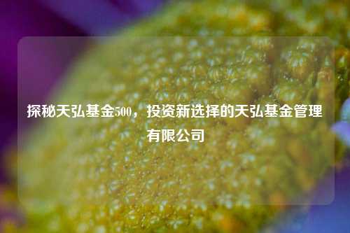 探秘天弘基金500,投资新选择的天弘基金管理有限公司