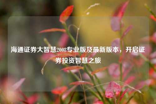 海通证券大智慧2008专业版及最新版本，开启证券投资智慧之旅