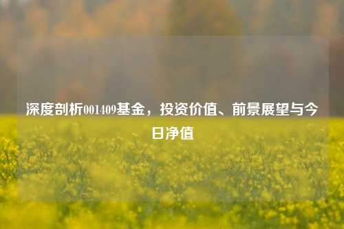 深度剖析001409基金，投资价值、前景展望与今日净值