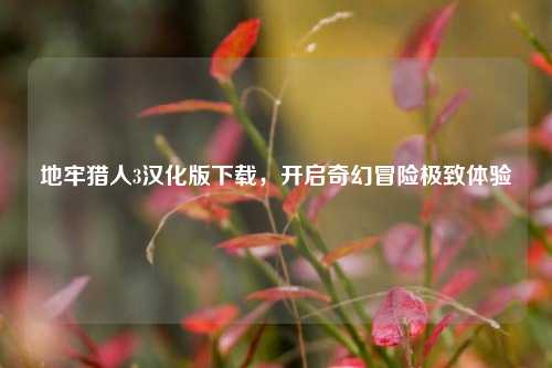 地牢猎人3汉化版下载，开启奇幻冒险极致体验