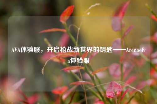 AVA体验服，开启枪战新世界的钥匙——Arenaofva体验服